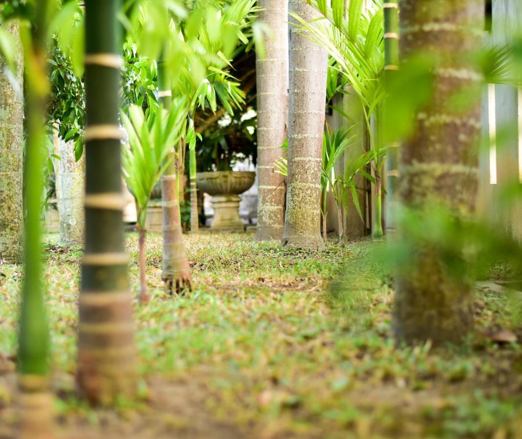 Chiang Mai Heritage House Bagian luar foto